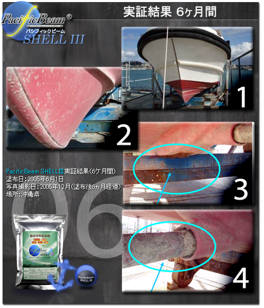 PacificBeam SHELL3　実験結果６ヶ月